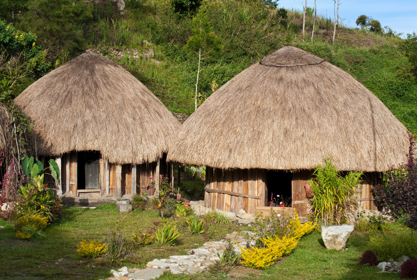 Traditional Papua Huts